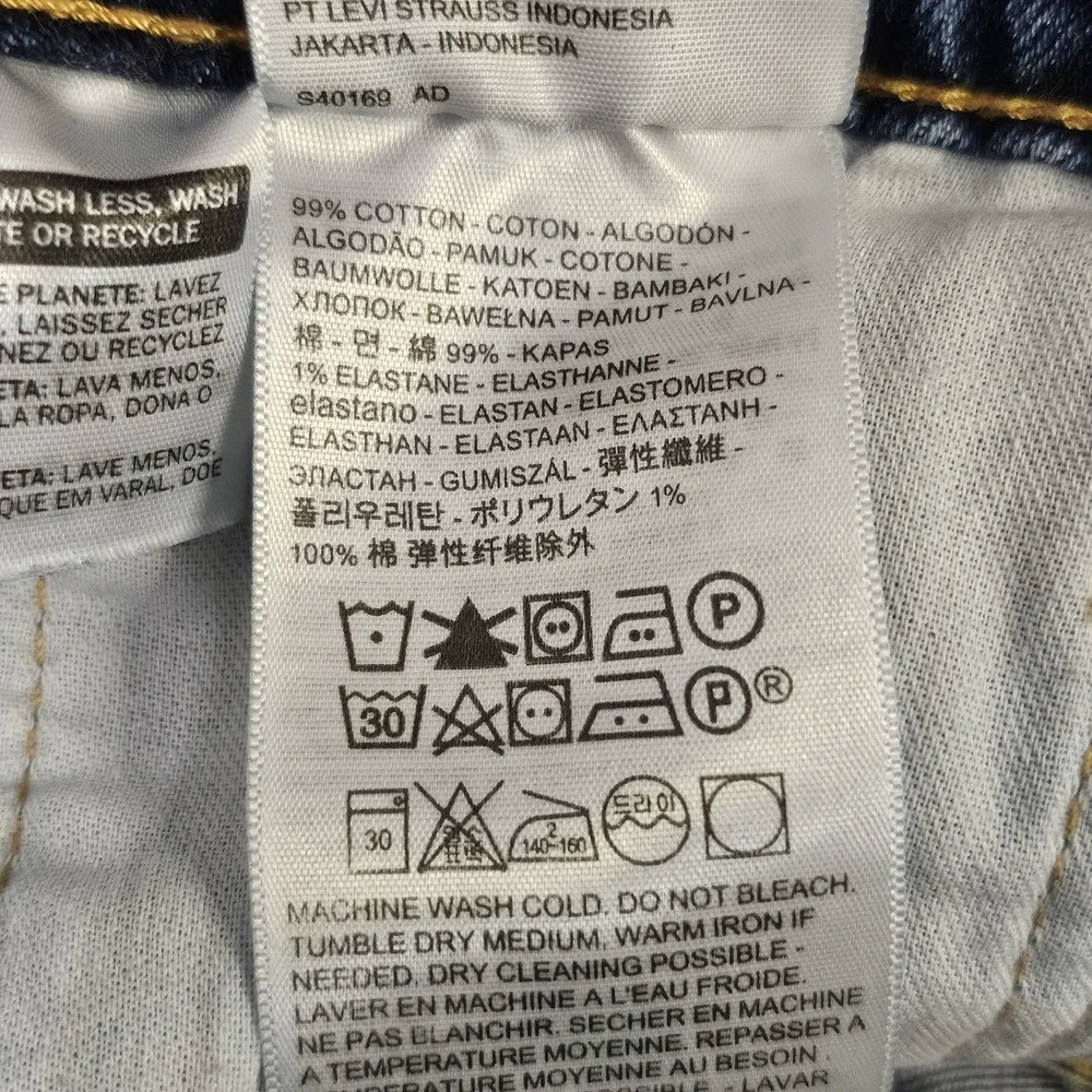 Levis levi strauss